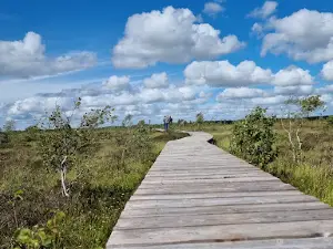 Trail to Aukštumala