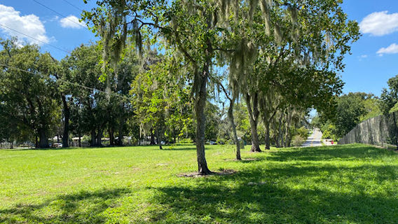 Doctors' Dog Park