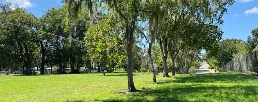 Doctors' Dog Park