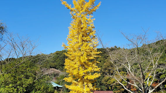 Jokoji Park