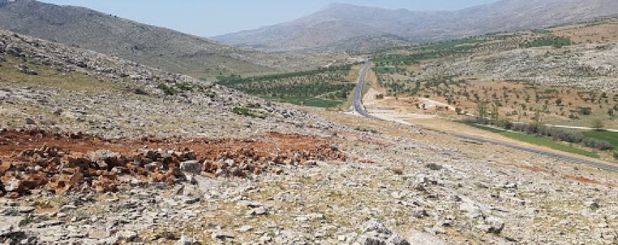 Özel İdare Ormanı