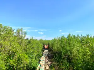 Mempawah Mangrove Park