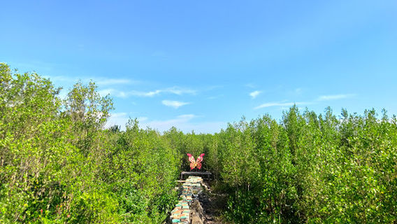 Mempawah Mangrove Park