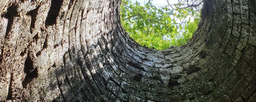 Bath County Park