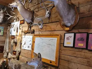 Wildlife Heritage Center Museum