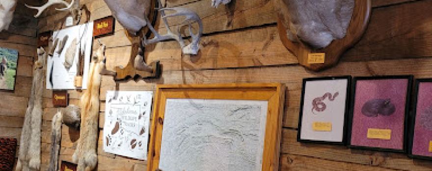 Wildlife Heritage Center Museum