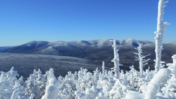 Mt Tom