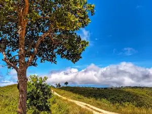 Bukit Teletubbies