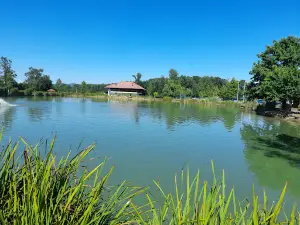 Aqua Dreams Samaila
