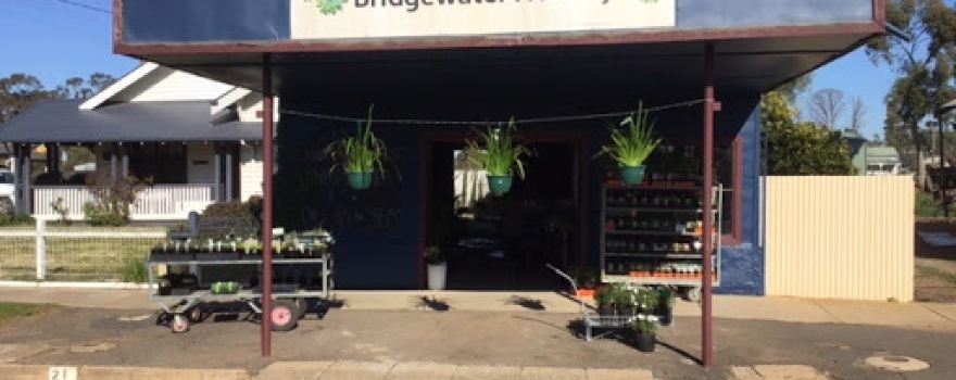 Bridgewater Nursery