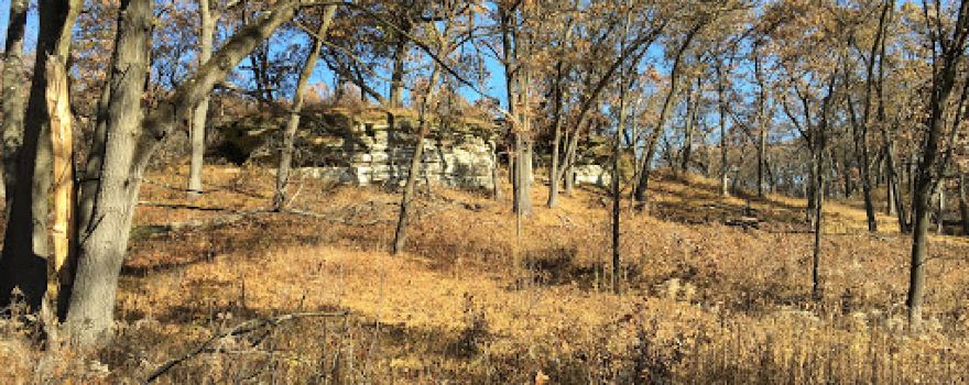 Stone Barn Savanna