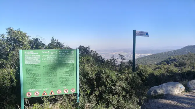 Grove of the Forty (HaArba'im)