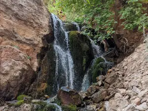 Maple Grove Campground