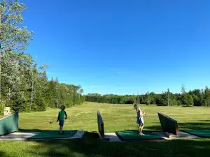 Firefly Forest Recreation