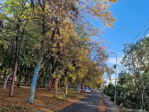 Puskin Park
