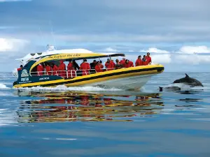 Bruny Island Cruises