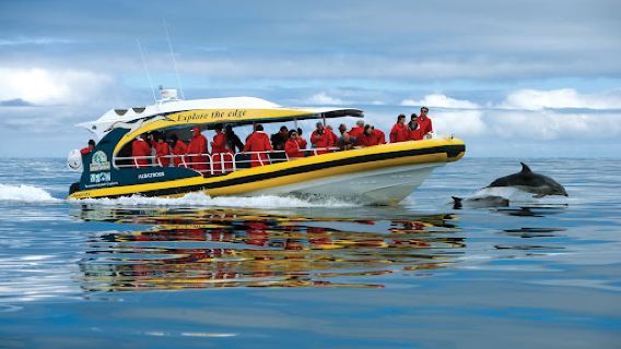 Bruny Island Cruises
