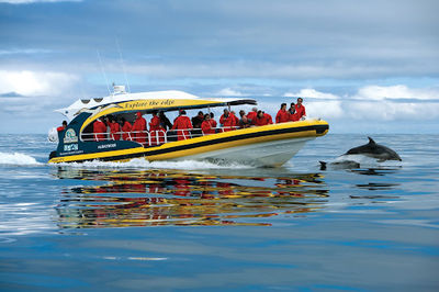 Bruny Island Cruises