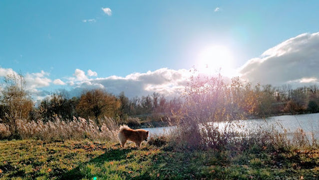 Picnic Area Lake Gigny