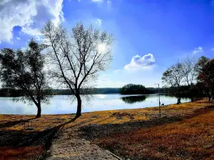 Szajlai Holt-Tisza