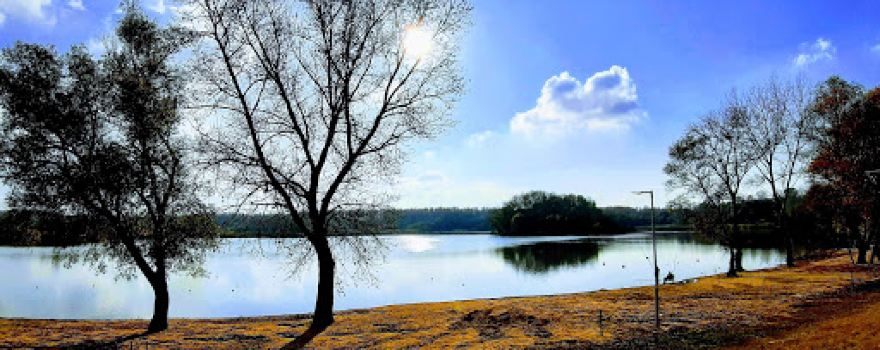 Szajlai Holt-Tisza