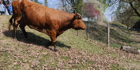 La Ferme Educative de l'AGF