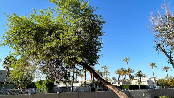 Boomers Palm Springs