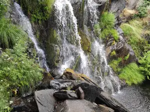 Ovejuela Chorrituelo