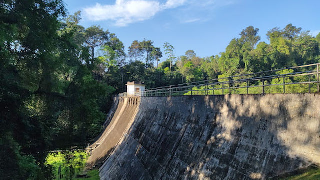 Cherok Tokun Nature Park (National forest)