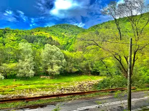 Mocănița Apusenilor