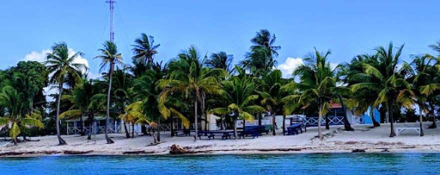 Centro Recuperación de Tortugas Marinas