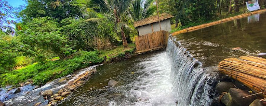 H&B Nature Camp