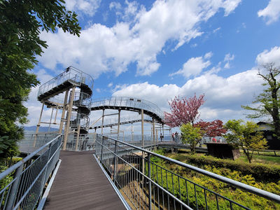 Crotch-viewing Platform