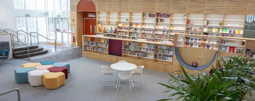 Windale Library