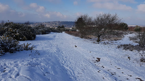 Thor's Stone, Thurstaston
