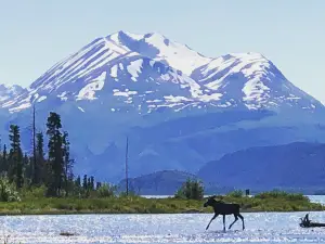Kenai River Trout Anglers