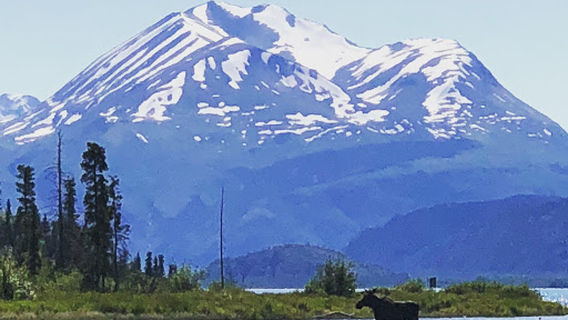 Kenai River Trout Anglers