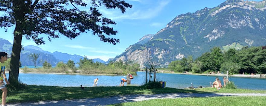 Reuss Delta Badi and fireplaces