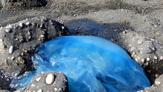 Duikstek Bergse Diepsluis / Oesterdam