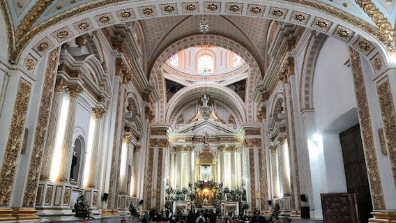 El Ahuehuete Arbol Milenario