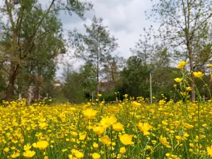 Stadt Park Crailsheim