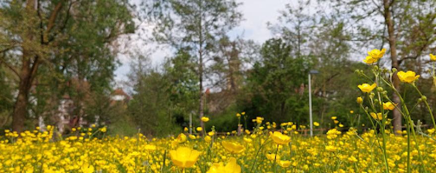 Stadt Park Crailsheim