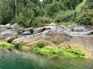 Camping Ciruelillos hornopiren