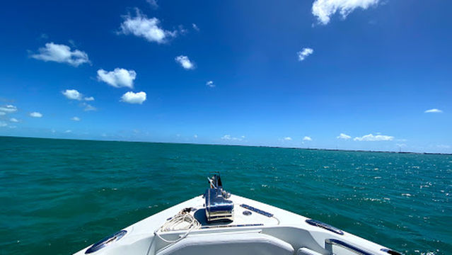 Lady Catherine Charters