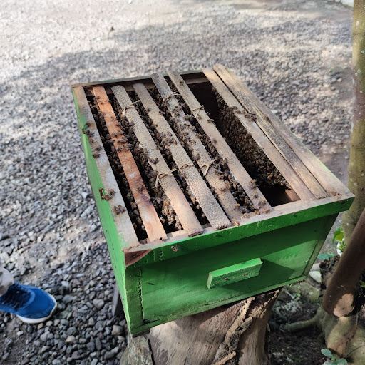 Ashfa Honey Bee Farm Borobudur