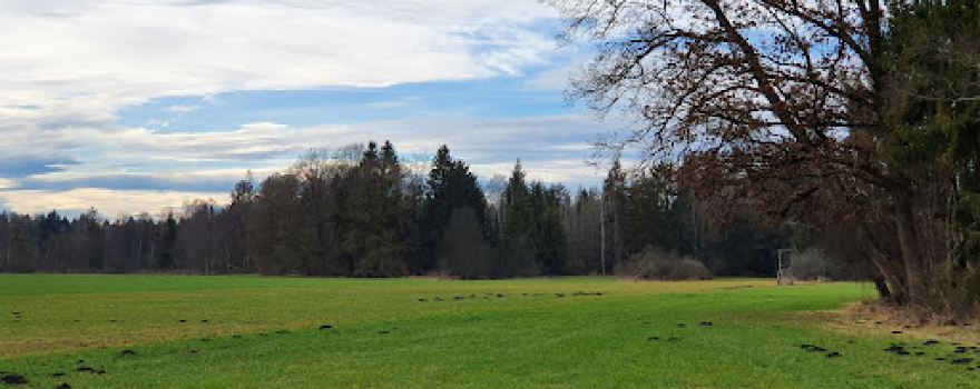Moorlehrpfad Freimoos
