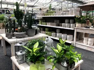 Gartencenter Wassenaar Bremerhaven-Leherheide - Blumen, Gartenartikel und Tierbedarf