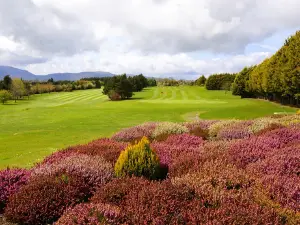 Carrick on Suir Golf Club, County Waterford.