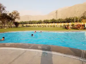 Las Retamas