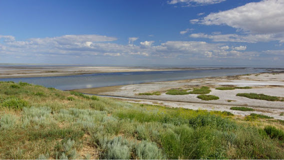 Smotrovaya Ploshchadka